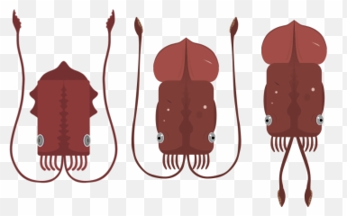 This Should Be The Official Colossal Squid Texture Deeeepio - Deeep Io Giant Squid Vs Colassal Squid Emoji,Discord Squid Emoji
