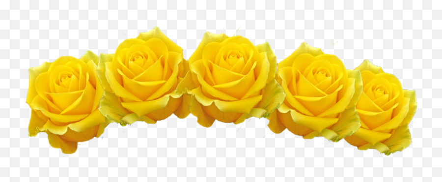 Flower Crown Transparent Flowers - Flower Crown Png Yellow Emoji,Yellow Rose Emoji