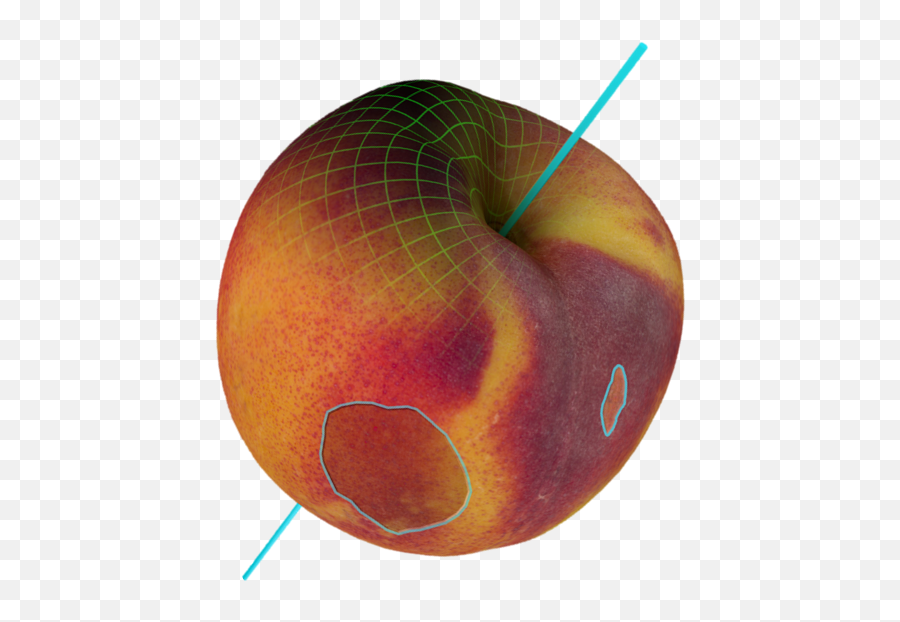 Biometic Q Eye - Inline Optical Sorter With Ai For Fruit Emoji,Without You Today's Emotions Are The Scurf Of Yesterday