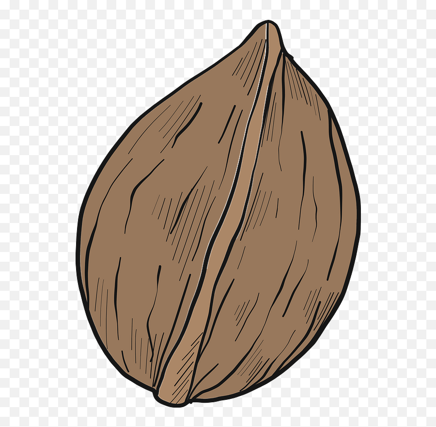 Walnut Clipart - Fresh Emoji,Walnut Emoji