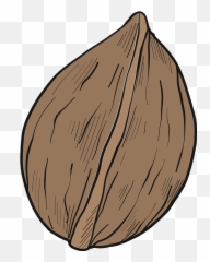 Walnut Clipart - Fresh Emoji,Walnut Emoji