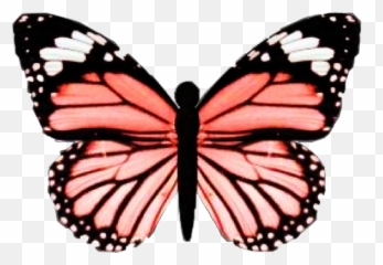 Brandymelville Butterfly Sticker - Light Pink Butterfly Emoji,Emoji Keychain Brandy Melville