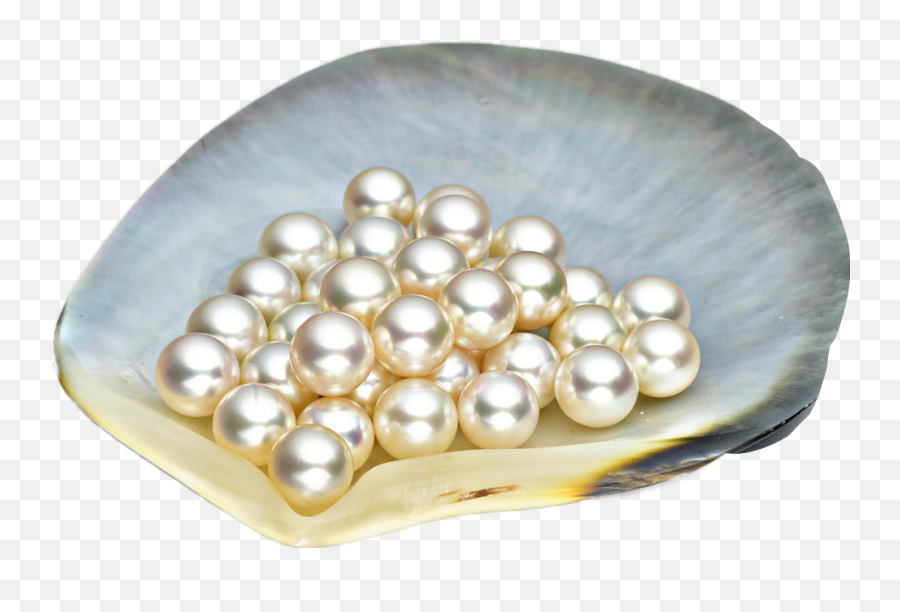 Pearl Pearls Shell Shells Sticker - Pearls In Shell Png Emoji,Pearls Emoji