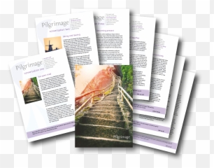 Ctbi Lent Course - Document Emoji,Coelho Brida Focus On Emotions