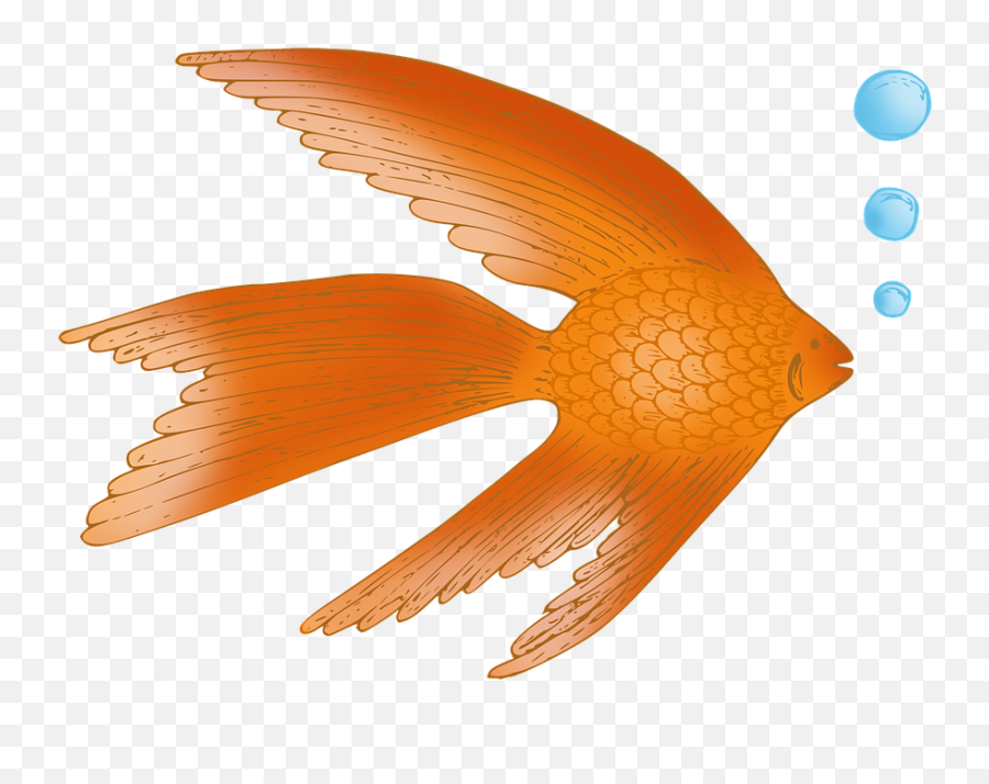 Goldfish Creature Aquarium Water - Falconiformes Emoji,Gold Sky Emotions