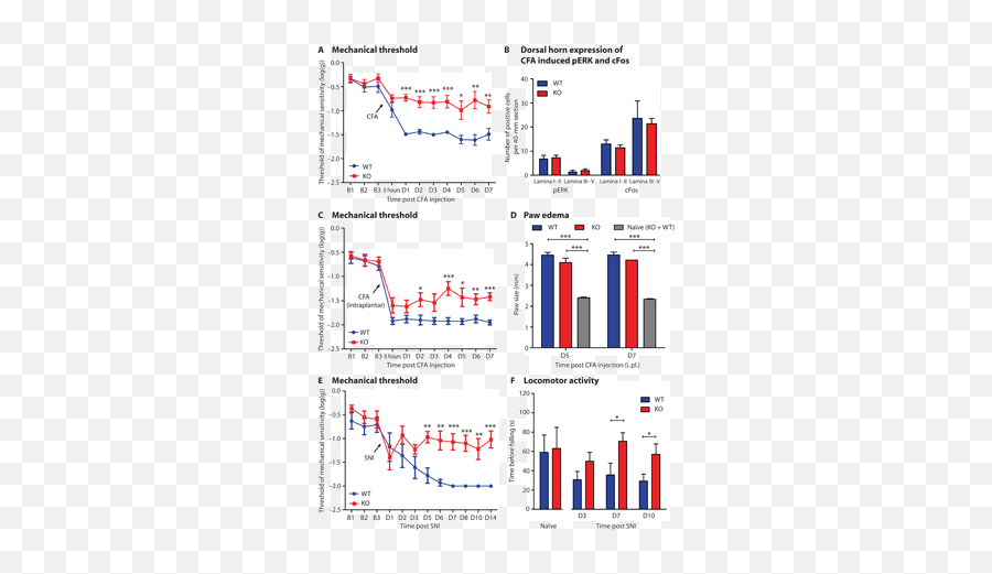 The Stress Regulator Fkbp51 Drives Chronic Pain By - Plot Emoji,Republica Dominicana Klk Emojis