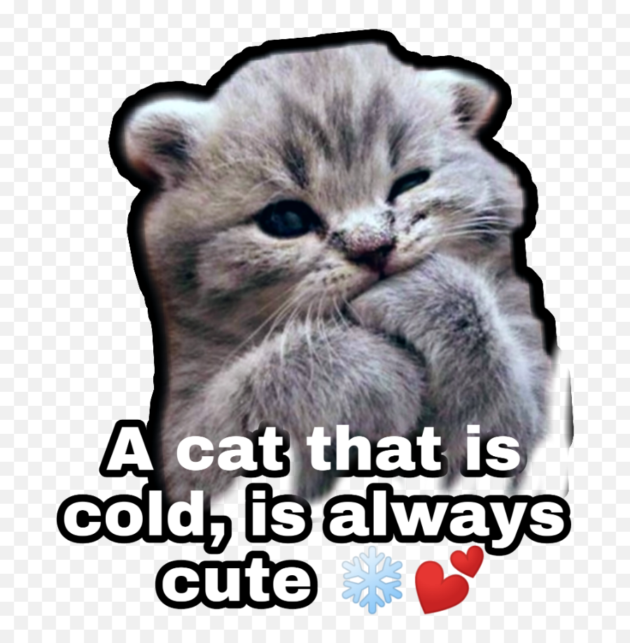The Most Edited Iloveher Picsart - Cute Kittens Emoji,Scottish Fold Smile Emoticon