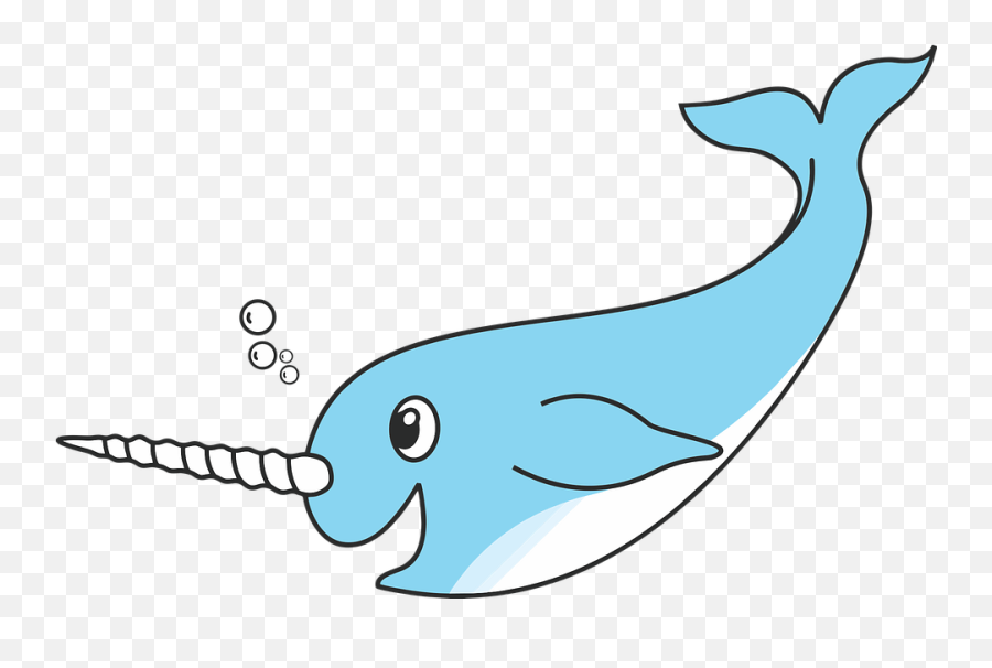 Narwhal Arctic Sea Cute Marine Aquatic - Narwhal Png Emoji,Narwhal Emoji