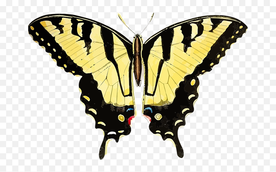 30 Free Yellow World U0026 Yellow Vectors - Pixabay Tiger Swallowtail Butterfly Png Emoji,Western And Eastern Emoticon