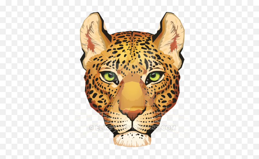 Download Leopard Face Png Download Image - Leopard Face Png Emoji,Tiger Emoji Leopard Emoji