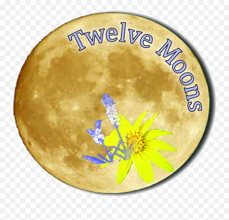 Crystals And Chakra Balancing U2014 Twelve Moons Products Emoji,Fimage Of Full Moon And Emotion