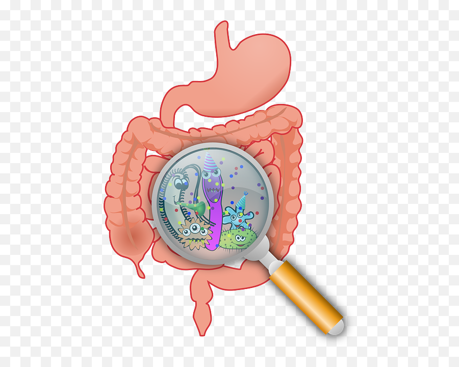 Gut Bacteria Can Influence Your Mood Thoughts And Brain - Bacteria In Our Gut Emoji,Emotion Quotes About Life