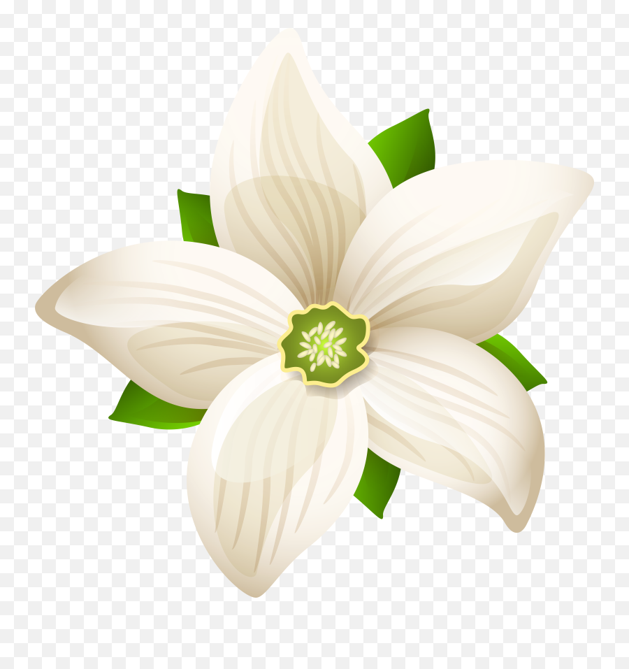 White Flower Clipart Png White Flower Png Transparent Free Emoji,White Flower Emoji