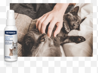 Petarmor Plus For Cats - Cat Emoji,Liquid Cat Emotion Chart Meme