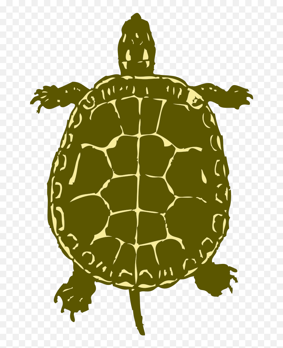 Turtle Png Svg Clip Art For Web - Download Clip Art Png Emoji,Turtle Emojis