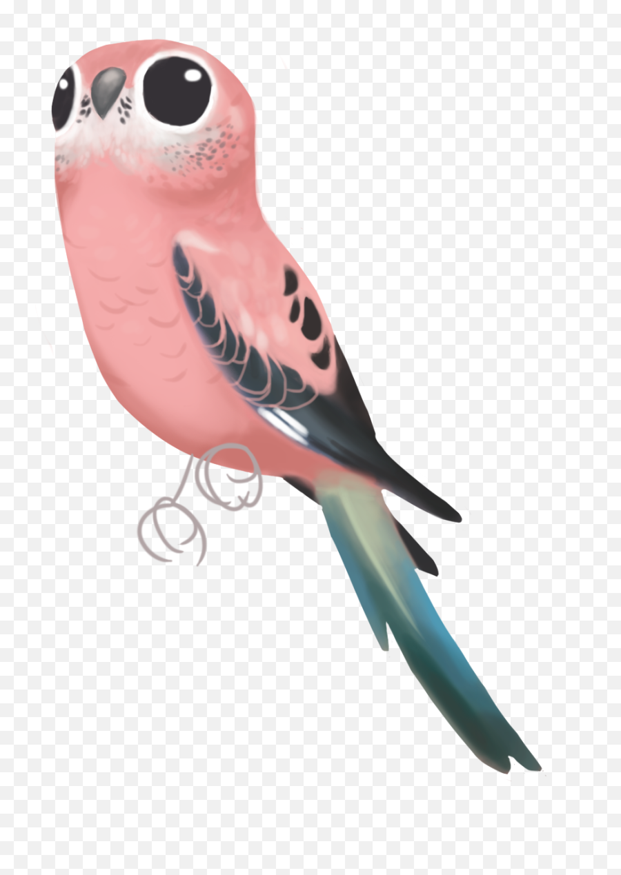 Forest Clipart Parrot Forest Parrot Transparent Free For - Pet Birds Emoji,Parakeet Emoji