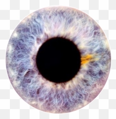 Eye Eyeball Contacts Sticker By Corina Garcia Emoji,Why Cant I But Emojis In My Contacts