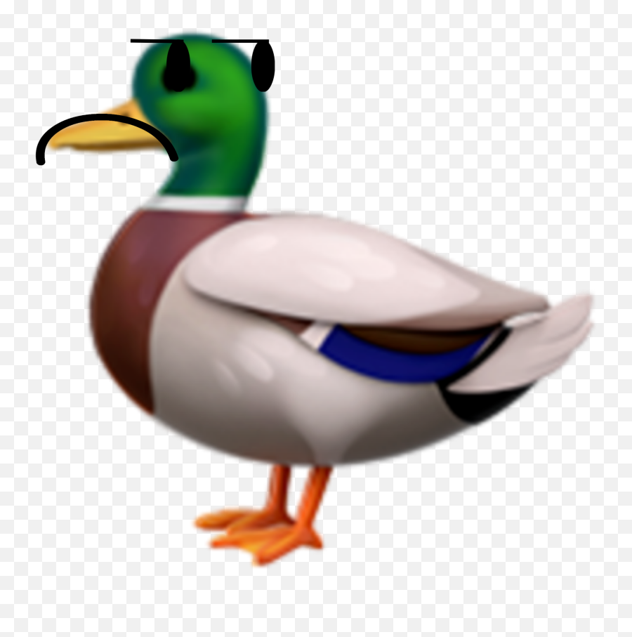 Discover Trending Duck Stickers Picsart - Transparent Duck Emoji Png,Duck In Emoticon