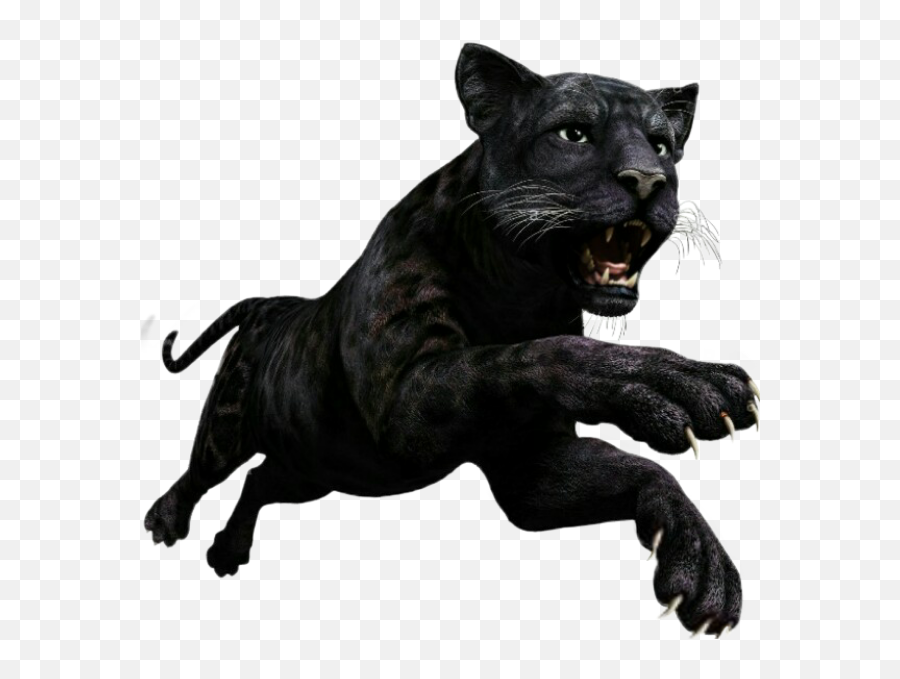 Panther Sticker Challenge On Picsart - Panther Claws Emoji,Vblack Panther Emojis