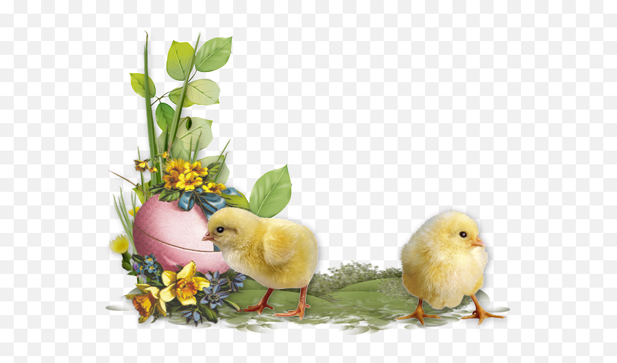 Photography Still Life Easter Bird - Animal Figure Emoji,Bird Nest Emoticon