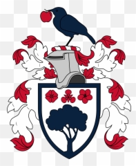 Harry V All Star Voting Rheraldry Emoji,Discord Emoji Military Chevrons