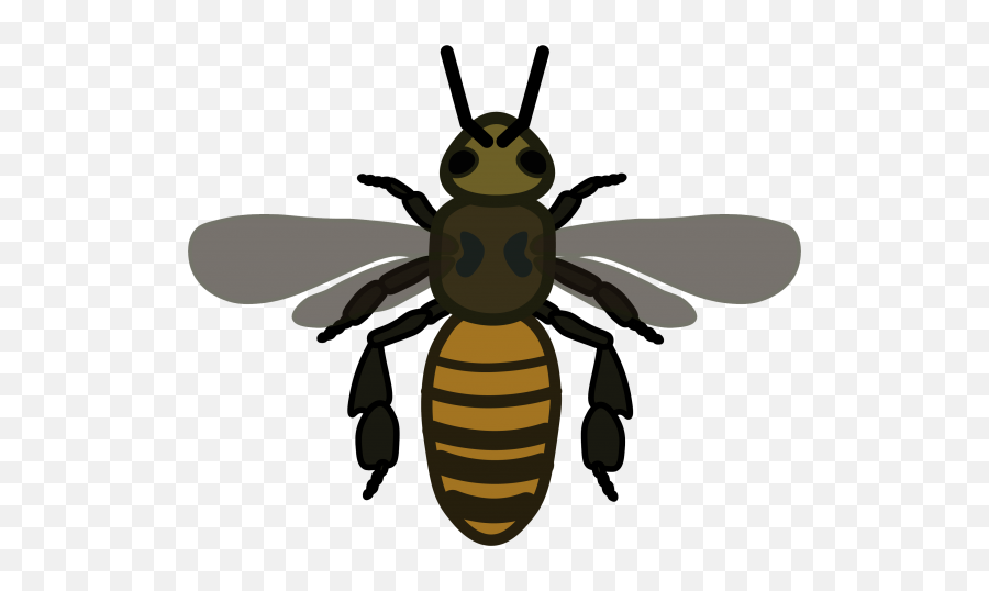 How To Identify Bees U2013 Wisconsin Pollinators U2013 Uwu2013madison Emoji,Differnet Fly Emoji