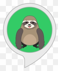 Amazoncouk Pet My Sloth Alexa Skills Emoji,Sloth Emoji Png