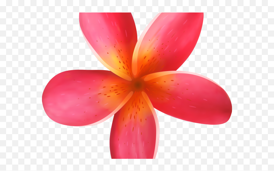 Exotic Clipart Moana - Flor Moana Baby Png Emoji,Tropical Flower Emoji