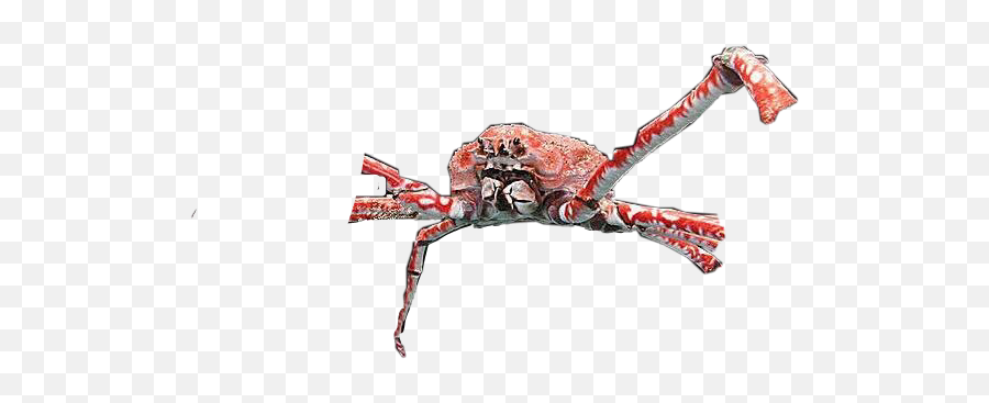 Spidercrab Cursed Sticker - Parasitism Emoji,Crab Emoji Meme