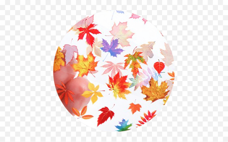 Fallhalloween Shop Sale Save 15 - Gel Essentialz Decorative Emoji,Fallen Leaves Emoji