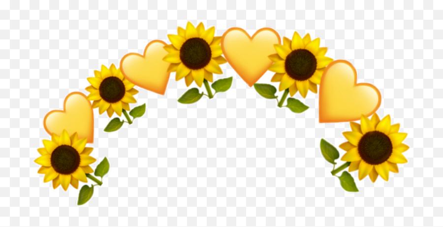Sunflower Sunflowers Yellowheart - Crow Flower Yellow Png Emoji,Qween Emoji