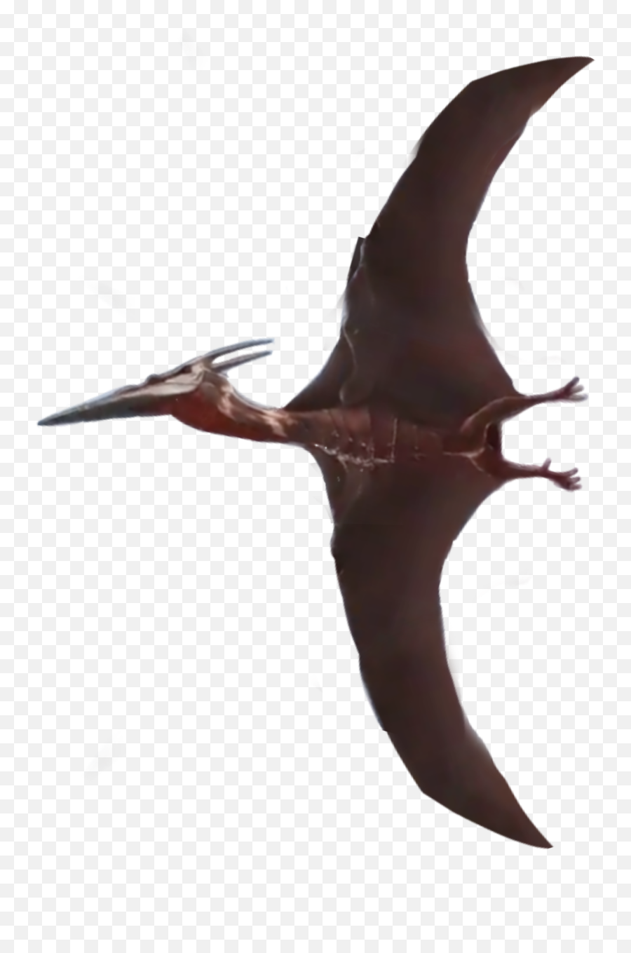 The Most Edited Rodan Picsart - Seabird Emoji,Camron Emojis