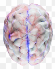 Jen Marchese - Brain Emoji,Art That Is About The Emotion That It Envokes