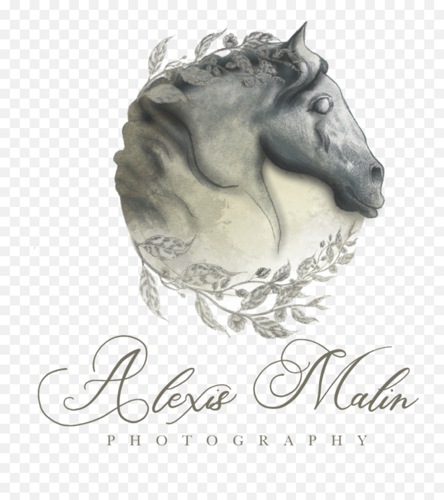 Alexis Malin Photography - Mustang Emoji,Drawn Emotion Headshots