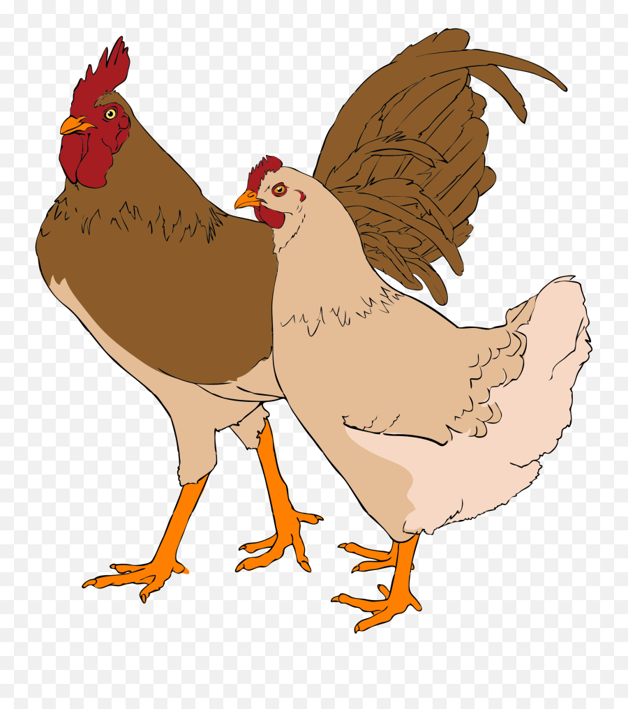 Muscle Clipart Rooster Muscle Rooster Transparent Free For - Chicken And Rooster Clipart Emoji,Rooster Emoji