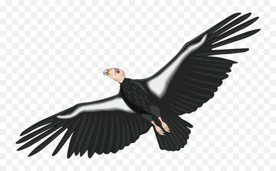 Bird 99702 Free Svg Download 4 Vector Emoji,Vulture Emoticon