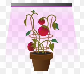Buncee - Small Group Work In The Online Science Classroom Emoji,Houseplant Emoji