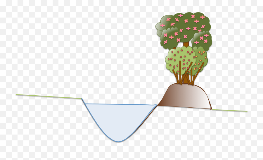 Blog - Page 5 Of 19 Treeyo Permaculture Swale Emoji,Emotion Duvida