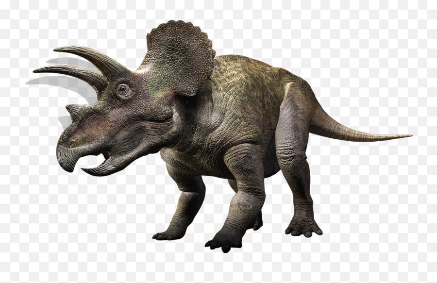 Arevalo02quiqcoper Mlg - Triceratops Png Emoji,Fonditos 3d Emojis