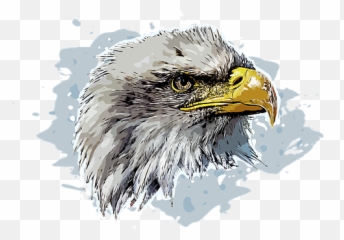 Free Bald Eagle Eagle Illustrations - Bald Eagle Emoji,The Emotions Of Eagles