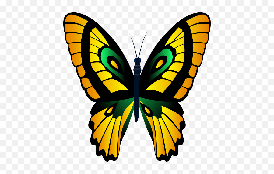 Butterflies Stickers - Wastickerapps U2013 Apps No Google Play Girly Emoji,Emoticon De Se Beber Nao Case