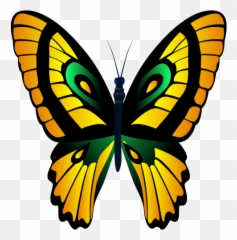 Butterflies Stickers - Wastickerapps U2013 Apps No Google Play Girly Emoji,Emoticon De Se Beber Nao Case