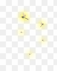 Fireflies Sticker - Dot Emoji,Fireflies Meme Emojis