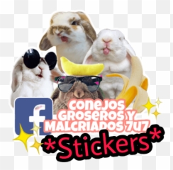 Conejos Groseros Y Malcriados - Soft Emoji,Emojis Grosero