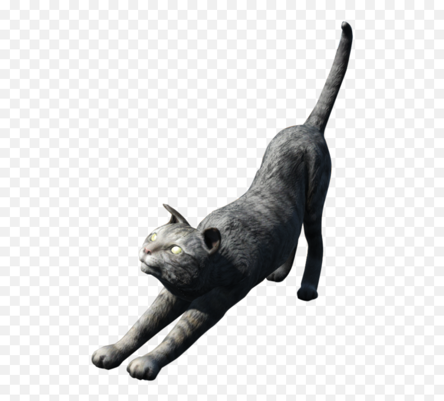 Cat - Cat Fallout 2 Emoji,Kitten Playing With Yarn Ball Forum Emoticon