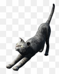 Cat - Cat Fallout 2 Emoji,Kitten Playing With Yarn Ball Forum Emoticon