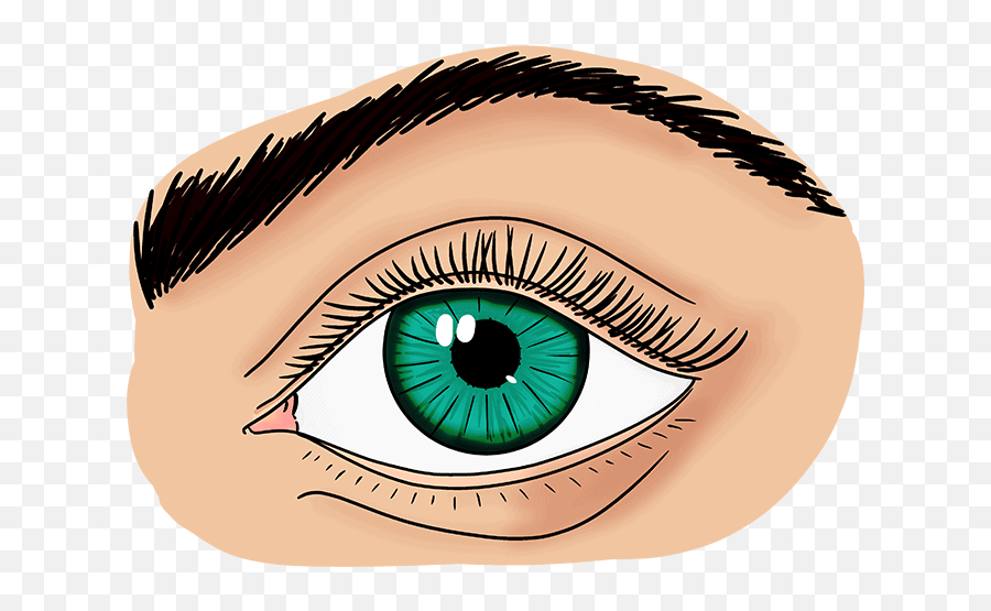 To Draw A Realistic Eye For Beginners - Vertical Emoji,Draw Realistic Eyes Different Emotion