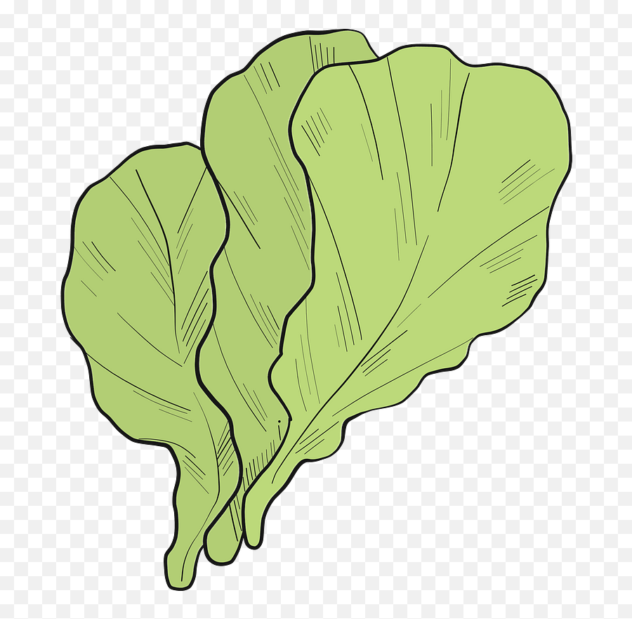 Lettuce Clipart - Wild Cabbage Emoji,Lettuce Emoji