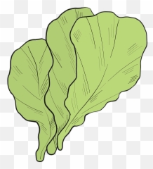 Lettuce Clipart - Wild Cabbage Emoji,Lettuce Emoji
