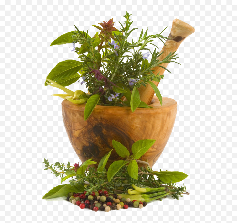 Medicine Herbs Transparent Png Png Mart Emoji,Herb Emojis